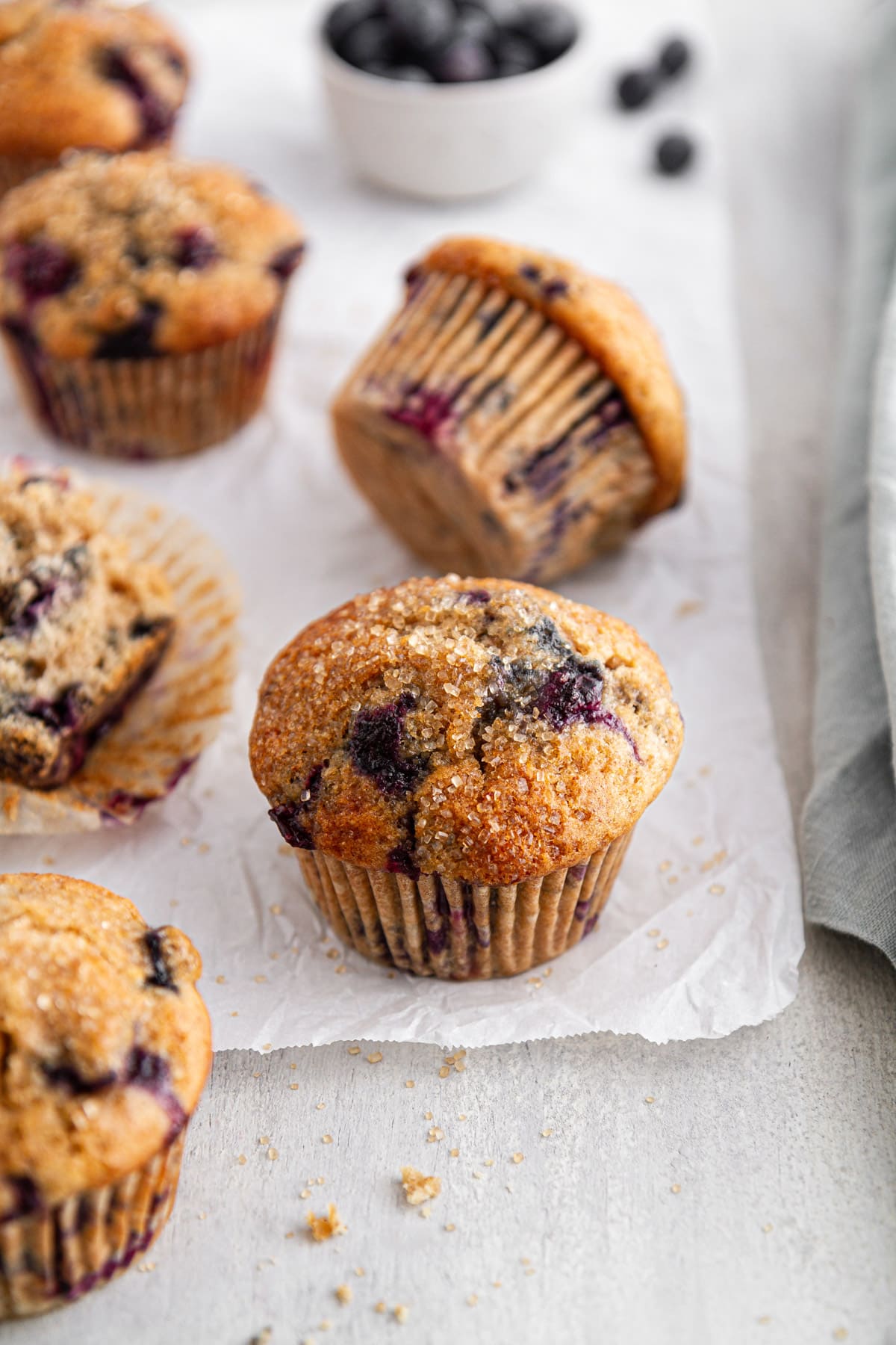 Homemade Sourdough Muffins (BLUEBERRY AND CHOCOLATE CHIP)